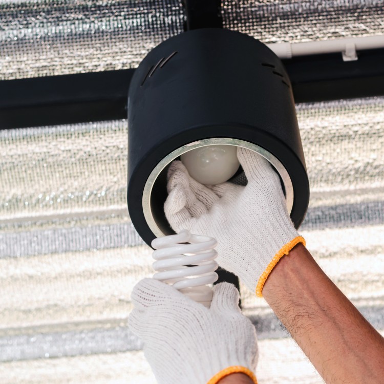 Electrical services in Raleigh, NC